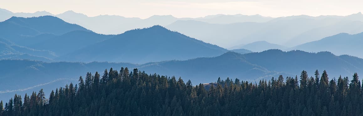 Many mountain ridgelines covered in evergreen trees fade into the distance